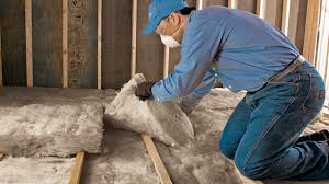 Best Basement Insulation  in Wanakah, NY